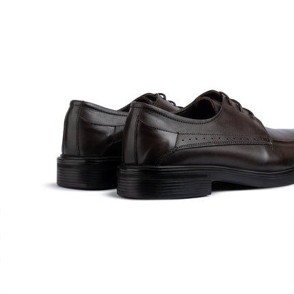 Adelaide Oxford - Brown