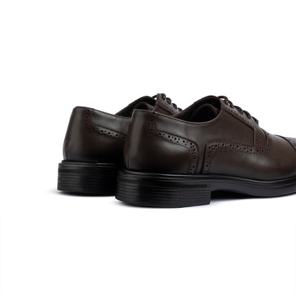 Wholecut Adelaide Oxford - Brown