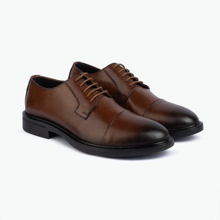Tuxedo Oxford - Brown