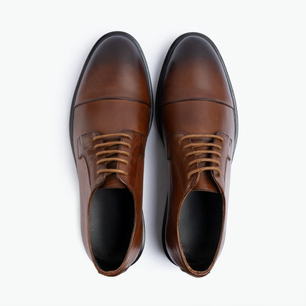 Tuxedo Oxford - Brown